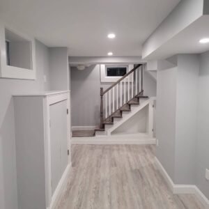 Basement Renovation